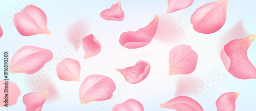 Pink rose sakura petals falling on pastel background vector illustration