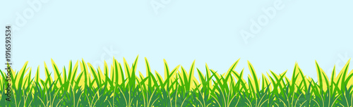 Fresh Green Grass Border with Blue Sky