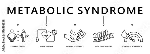 Symptoms of Metabolic Syndrome banner web icon vector illustration concept with an icon of Hypertension, Insulin Resistance, High Triglycerides, Low HDL-Cholesterol, Visceral Obesity