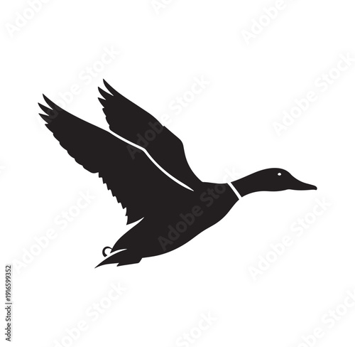 flying duck silhouette with wings spread wide in air  animal graphic