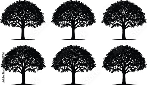 Black silhouette set of various leafy deciduous trees with detailed branches and foliage for landscape architecture nature conservation park design and environmental protection concepts