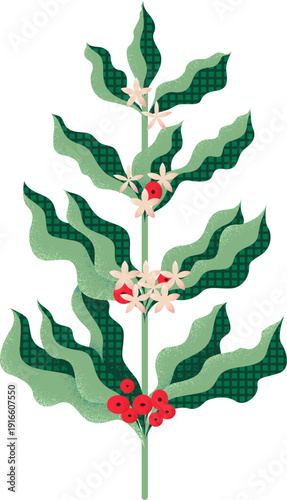 Coffee plant branch. Decorative texture design. Green flora