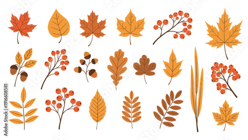 Collection of twenty-one diverse autumn leaves and berry branches in warm seasonal colors for festive and botanical design projects.