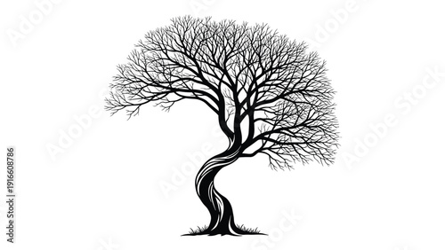 Detailed black silhouette of a twisted old tree with intricate branches against a white background suitable for gothic or nature designs.