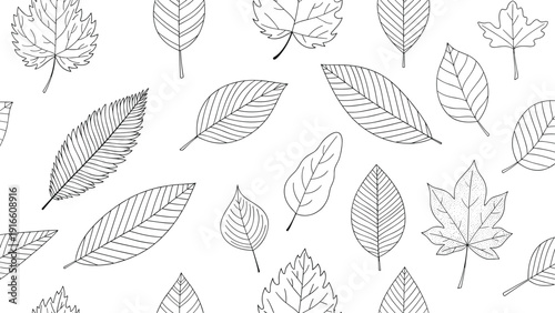 Seamless background pattern featuring a diverse collection of hand drawn leaf outlines on a white surface representing different tree species.