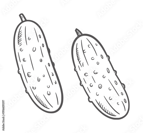 Two simple black and white line of bumpy cucumbers vegetable food outline