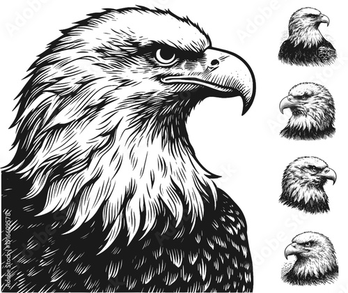 Bald Eagle heads Hand-Drawn Wildlife Sketch linework sketch hand drawn pen drawing vector illustration svg