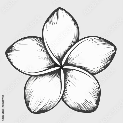 Single Frangipani flower, transparent background.