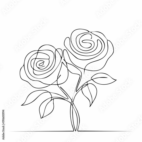 Continuous line, two roses line art vector illustration with transparent background editable stroke.