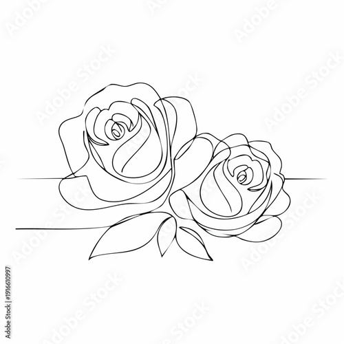 Continuous line, two roses line art vector illustration with transparent background editable stroke.