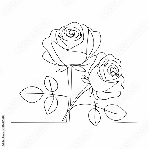 Continuous line, two roses line art vector illustration with transparent background editable stroke.