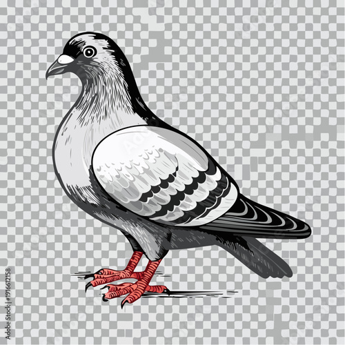pigeon line art vector illustration with transparent background editable stroke.