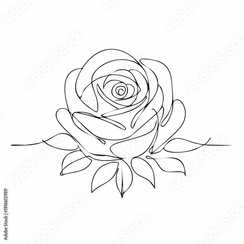 Continuous line, rose isolate line art vector illustration with transparent background editable stroke.
