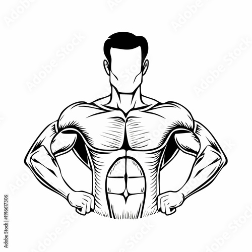 muscular male torso, Arm muscles, cut out background.