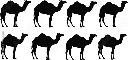 Black Camel Silhouette Collection Featuring Dromedary Poses in Profile for Desert Safari Middle Eastern Travel Wildlife and Nature Graphic Design Projects
