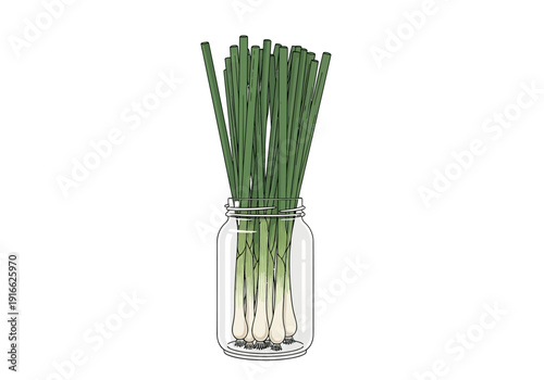 Fresh Green Scallions Stored in a Glass Jar.