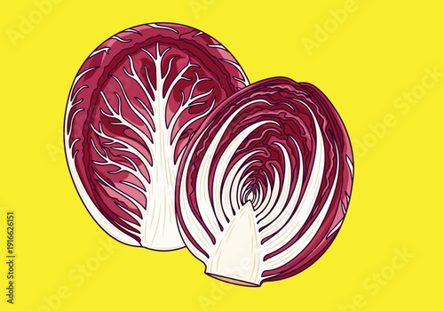Fresh Radicchio Vegetable Halved and Whole.