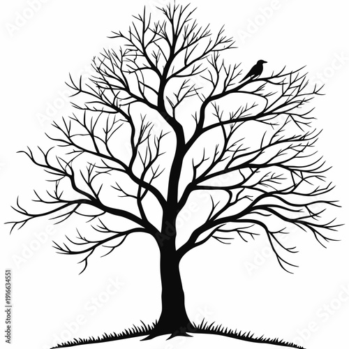 Bare Tree Silhouette with Raven Perched - Winter Season