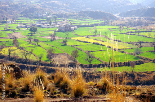 Beautiful green fields in a valley Margalla hills Islamabad (