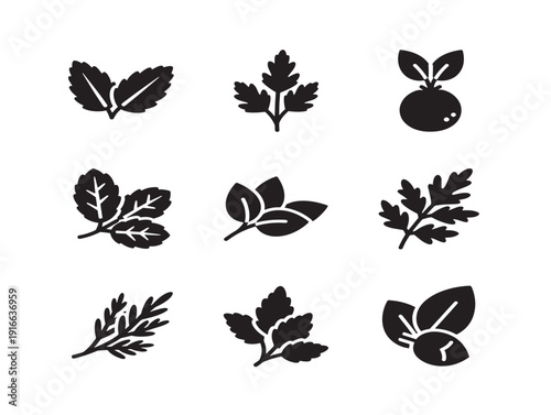 Elegant herbal spice silhouette showcasing natural organic ingredients