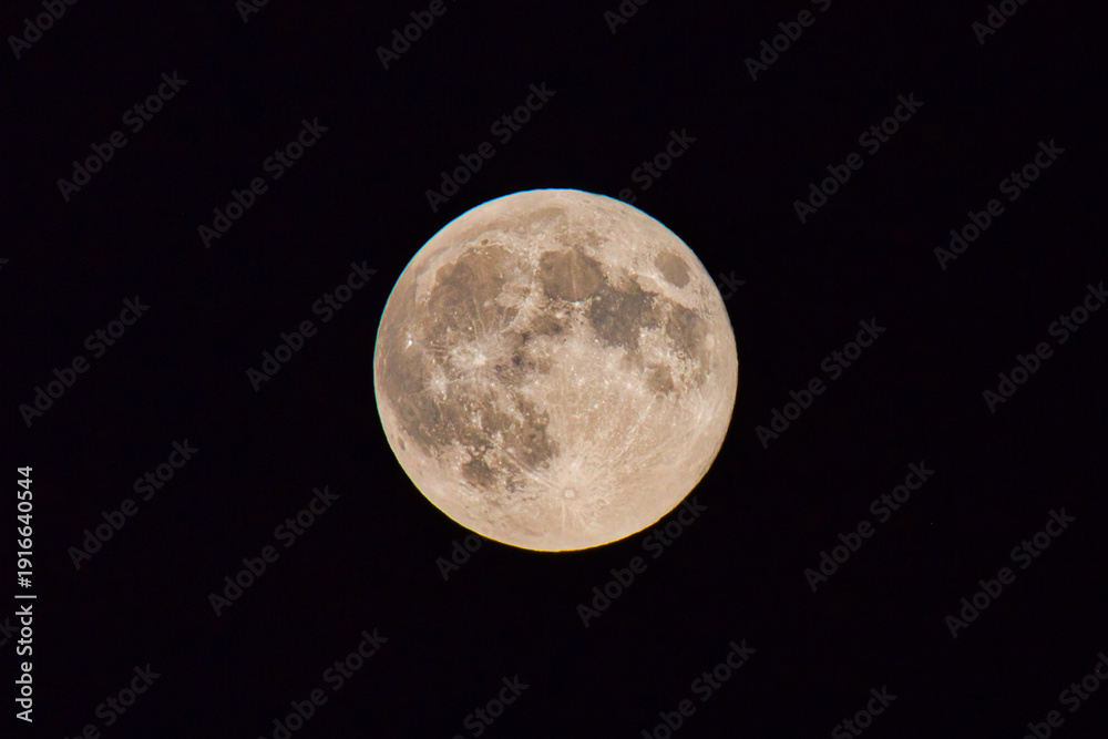 Fototapeta premium full moon in the dark sky