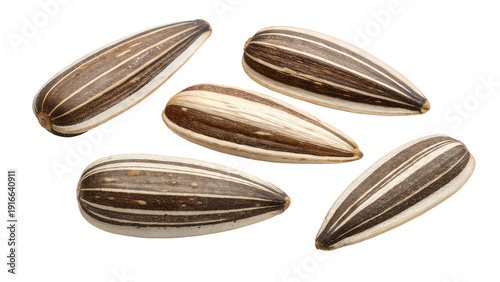 set of sunflower seed ,png