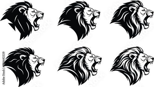 Black and white lion head with different mane styles animal wildlife