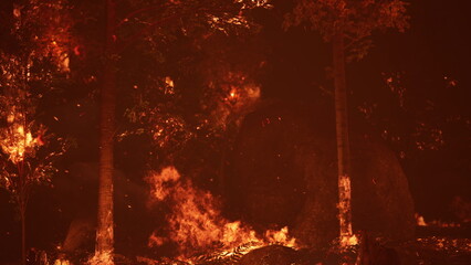 Keuken achterwand Bruin Flames rage through dense trees, consuming the forest as smoke fills the air. The scene captures the fury of nature, showcasing the intense destruction caused by a wildfire at dusk.  © icetray