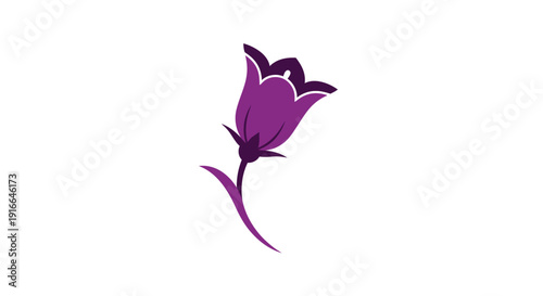 Elegant Purple Bellflower Silhouette Isolated on White Background.