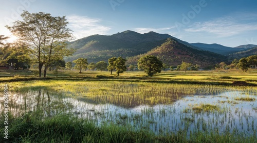 Golden morning light illuminates vibrant green paddy fields with lush trees and serene mountain backdrop, capturing tranquil agricultural beauty.