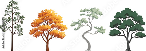 Four different trees with various colored leaves and trunks in a row isolated on transparent background