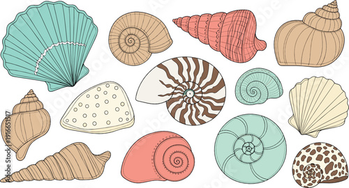 Decorative seashells collection with conch spiral scallop and nautilus shells detailed flat vector illustration for beach decor coastal backgrounds and summer designs