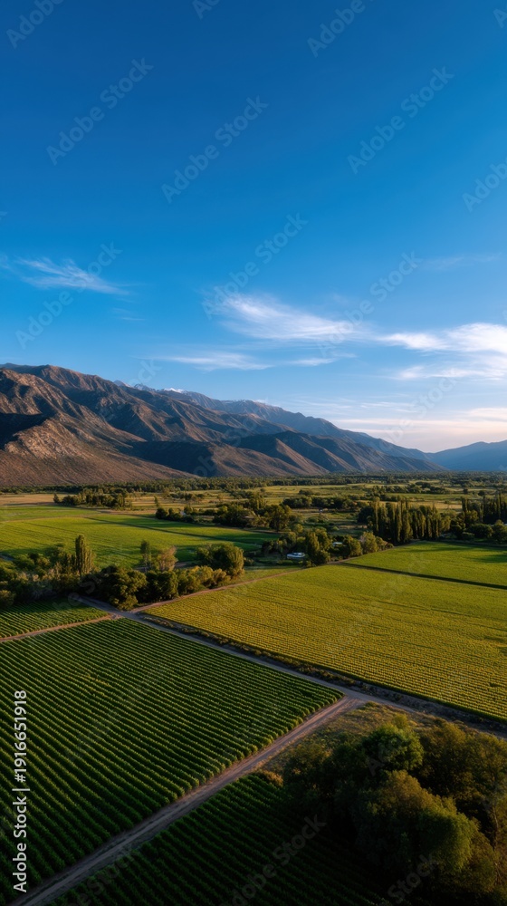 Naklejka premium Aerial View of Lush Vineyards in Mendoza with Majestic Mountains in Background