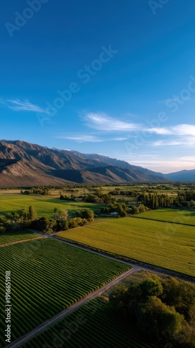 Aerial View of Lush Vineyards in Mendoza with Majestic Mountains in Background