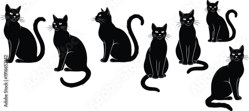 Collection of black cat silhouettes in various sitting poses with expressive tails and whiskers isolated on white background vector illustration.