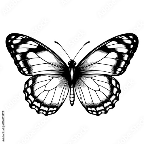 Minimalist solid black color background