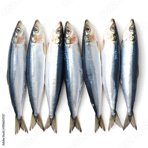 Fresh raw sardines arranged vertically on a clean white background, showcasing their silvery scales and fresh appearance for healthy eating concepts.