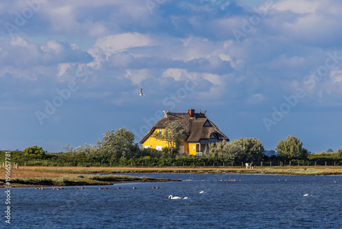 Thatched cottage on the Graswarder peninsula in Heiligenhafen, Schleswig-Holstein, Germany, Europe