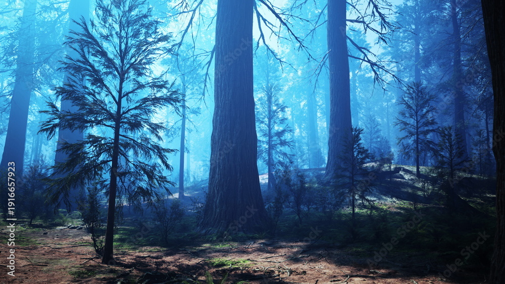 Fototapeta premium Tall trees stretch skyward in a serene forest. Soft blue mist drapes over the ground, creating a magical atmosphere. Sunlight filters through the branches, illuminating the quiet woodland.