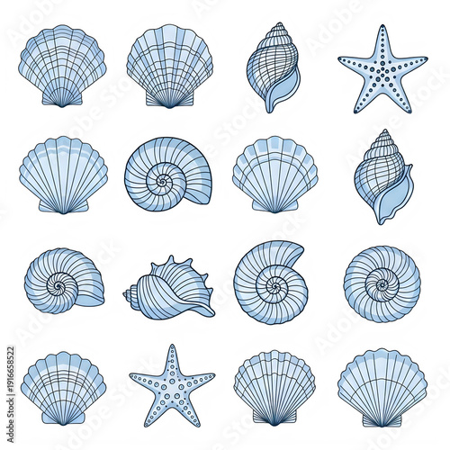 Collection of blue wireframe seashells and starfish isolated on transparent background