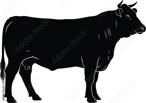 Vector illustration of bull silhouette, prominent horns, muscular build, standing profile view, strong animal symbol, agriculture theme, financial market icon, bold black design