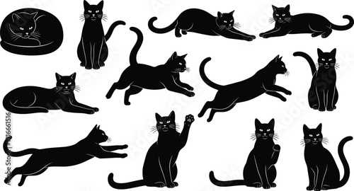 Vector illustration of cat silhouettes in diverse poses symbolizing pets, wildlife, culture, nature, biology, education, and decorative design