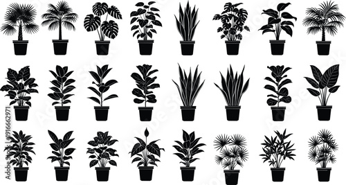 Potted Indoor House Plants Silhouette Collection Set with Various Leaves Shapes and Pot Designs for Home Interior Decor flavector Brand
