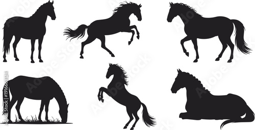Horse silhouette illustration set showing running, rearing, grazing, and resting poses, equine wildlife collection isolated on white background for design use