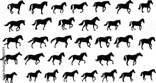 Horse silhouette walk and run cycle collection featuring multiple equine movement poses isolated on white background for animation wildlife illustration and logo design