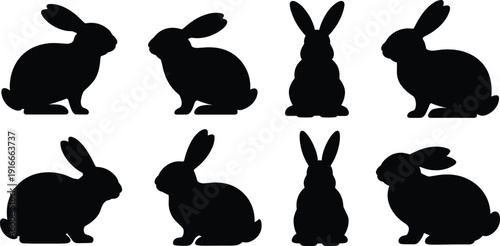 Professional Business Entrepreneur Working on Laptop with Creative Data Growth Charts and Financial Analytics Icons in Modern Flat Vector Style