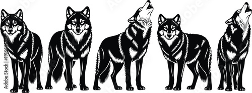 Set of black and white wolf silhouettes featuring majestic howling and standing poses for wilderness nature and wildlife vector design.