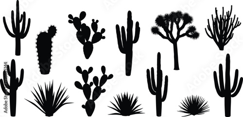 Vector illustration of desert plants including cacti and succulents symbolizing flora, nature, environment, biology, education, and decorative design