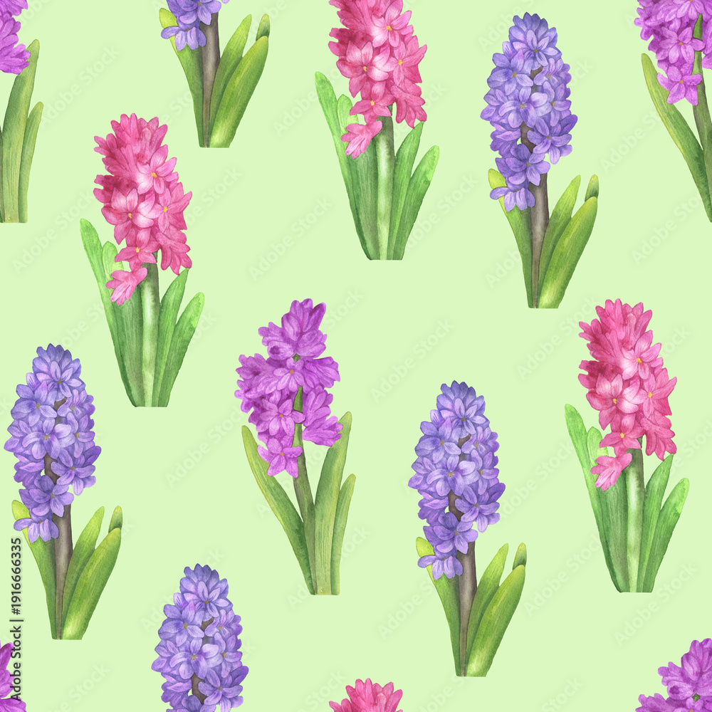 Obraz premium Seamless pattern hyacinths green