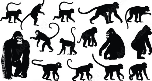 Vector illustration of primate silhouettes including monkeys and gorillas symbolizing wildlife, anatomy, culture, biology, education, and decorative design